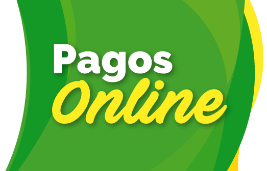 pagos online